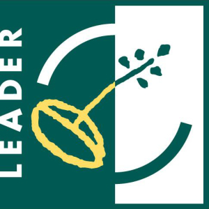 LEADER_logo
