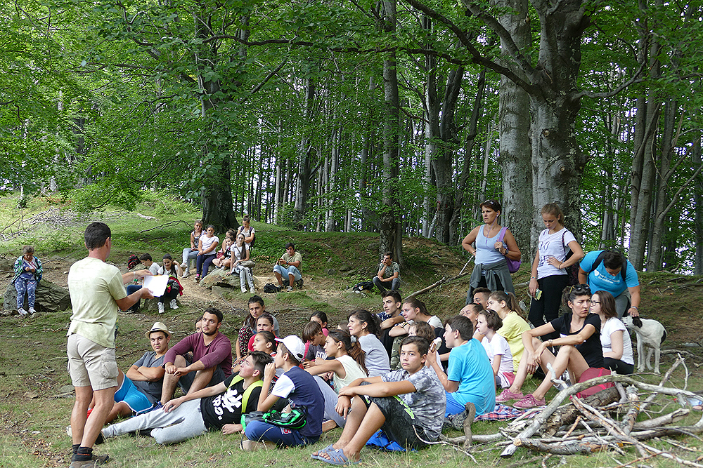 Desesti  (31)