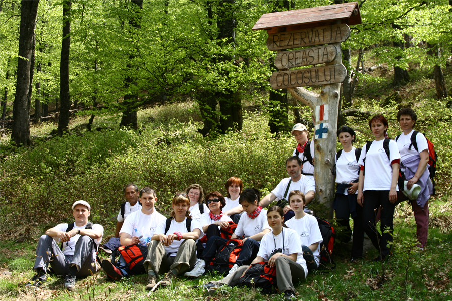 gwt_06