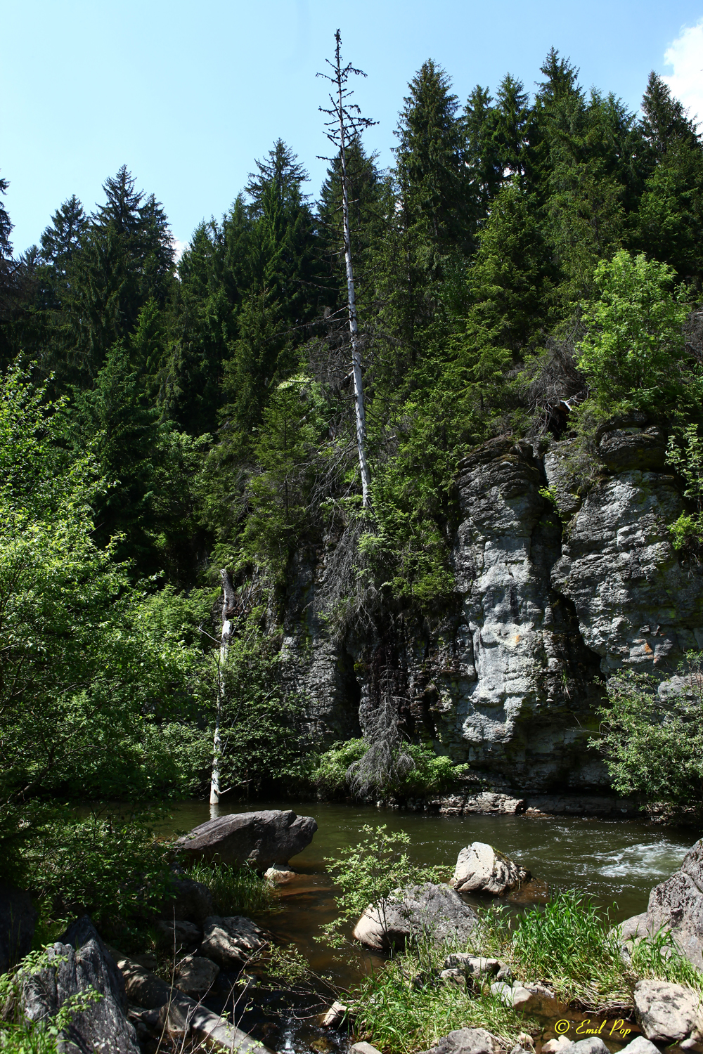 v9 copy